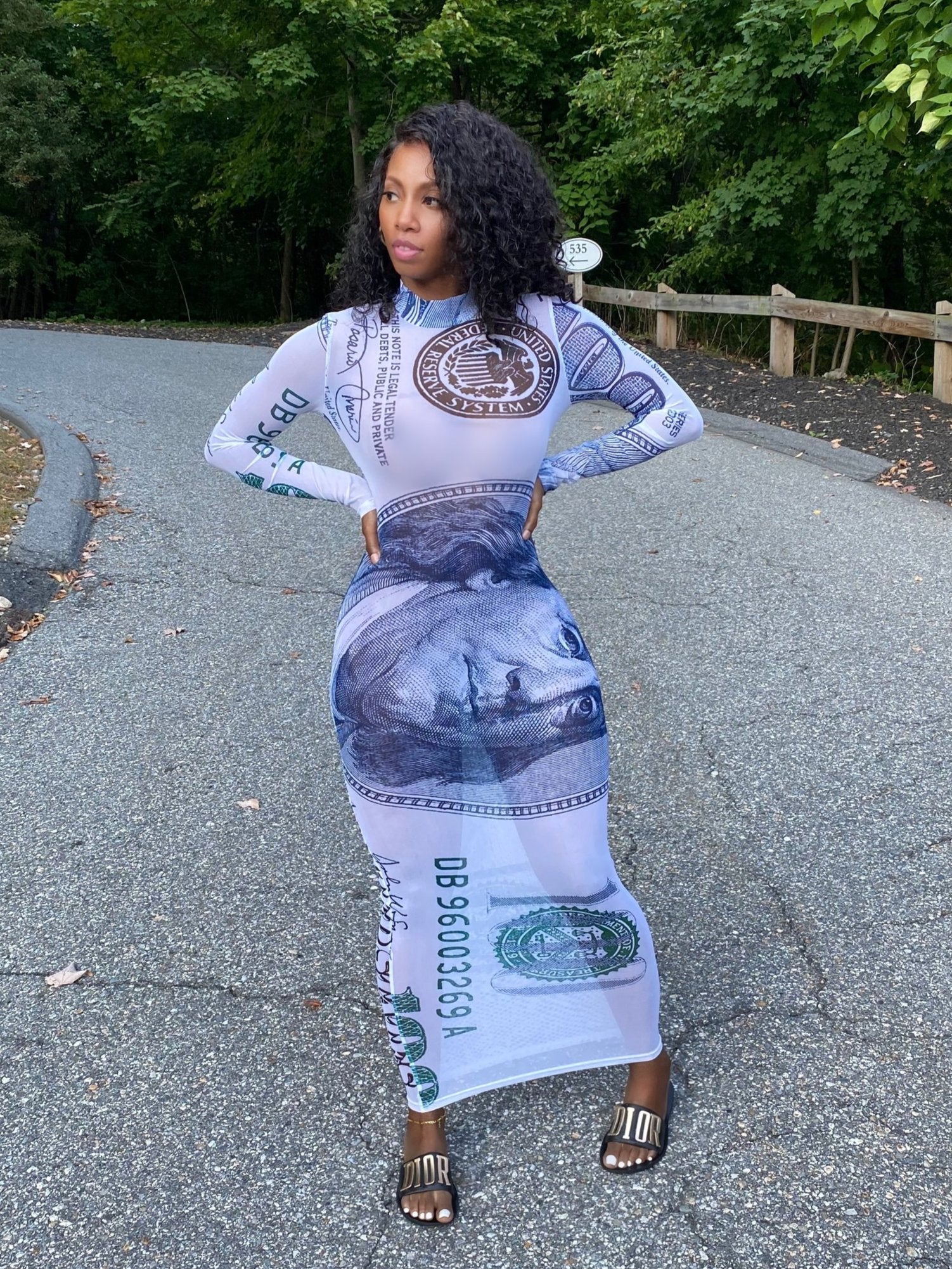 Fashion Money Dress